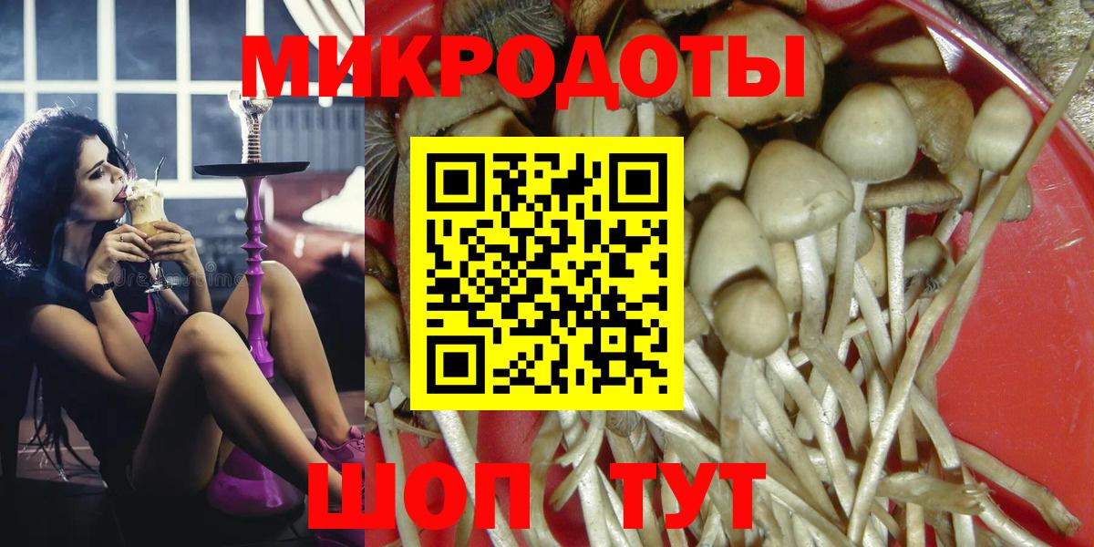 Галлюциногенные грибы GOLDEN TEACHER  Вход с VPN  Верхняя Пышма 