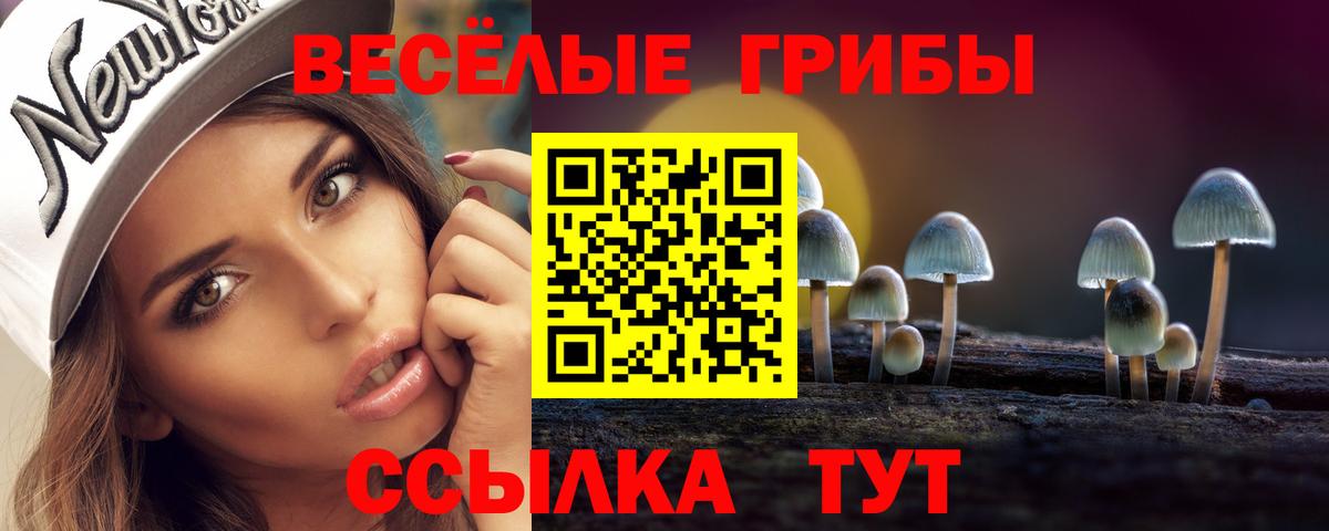 Псилоцибиновые грибы Magic Shrooms Верхняя Пышма